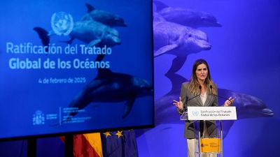 España ratifica el Tratado Global de los Océanos, el primer país europeo en hacerlo, para proteger la biodiversidad