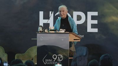 La esperanza, la receta esencial de la existencia humana