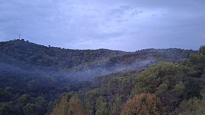 Los bomberos han trabajado toda la noche en el incendio declarado el martes en Collserola (Barcelona), que ya ha quedado estabilizado. Los bomberos han trabajado toda la noche en el incendio declarado el martes en Collserola (Barcelona), que ya ha quedado estabilizado.