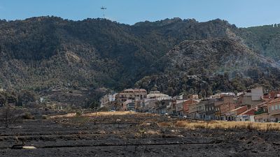 Estabilizado el incendio en la pedanía de Los Garres, Murcia, tras quemar más de 170 hectáreas