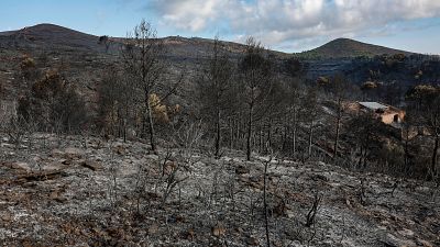 Estabilizado el incendio de Segorbe, en Castellón, que ha afectado a 630 hectáreas
