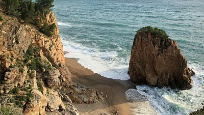 L'aigua del mar fins a 5 graus més càlida de l'habitual