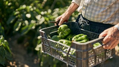 Facua denuncia las bajas sanciones por incumplir la Ley de Cadena Alimentaria