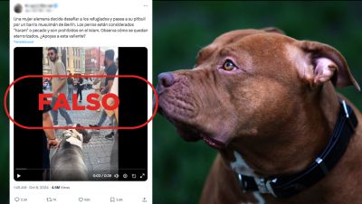 No es una mujer "desafiando" a refugiados con su pitbull en un barrio musulmán de Berlín No es una mujer "desafiando" a refugiados con su pitbull en un barrio musulmán de Berlín
