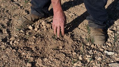 La falta de lluvias acumulada en España desde octubre de 2022 alcanza el 23%