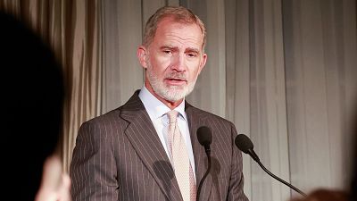 Felipe VI reivindica la eficacia de la ONU para proteger el respeto al Estado de Derecho