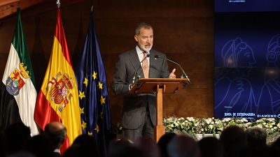 Felipe VI destaca que la "honda" relación con Iberoamérica permite "hablar con franqueza de posibles discrepancias"