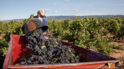 El acuerdo entre EE.UU y la UE acaba con los aranceles al vino y al aceite de oliva español