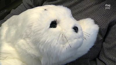 Nuka, la foca robot que estudia la demència - L'Altaveu - L'altaveu | Veure