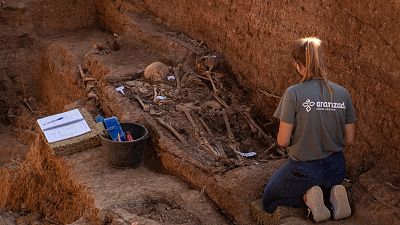 La Fosa Pico Reja, más de 1.800 represaliados por identificar en el Cementerio de San Fernando