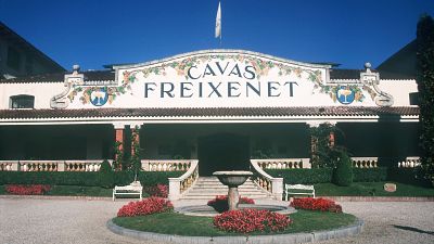 Freixenet acuerda con los sindicatos un ERTE entre mayo y diciembre por la falta de uva y vino de base debido a la sequía