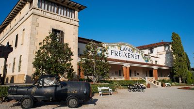 Freixenet recortará su plantilla en un máximo de 180 personas en España, un 24% del total