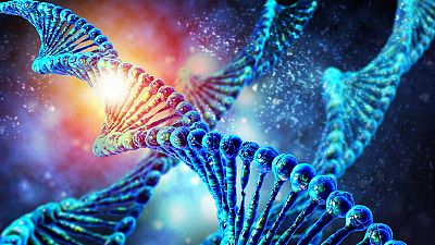 Los genes de la esquizofrenia protegen del alzhéimer, según un estudio