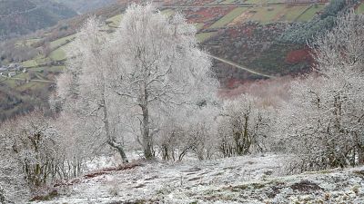 El Pirineu català registra mínimes històriques de fins a 12 graus negatius