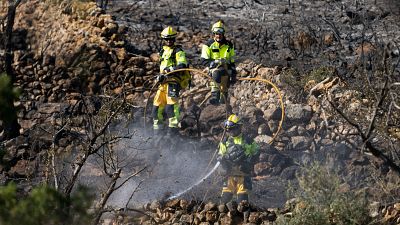 El Gobierno aprueba el estatuto de bomberos y agentes forestales y reactiva su tramitación en el Congreso