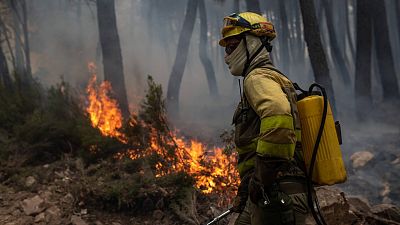 El Gobierno aprueba el nuevo estatuto laboral para 20.000 bomberos y agentes forestales en España