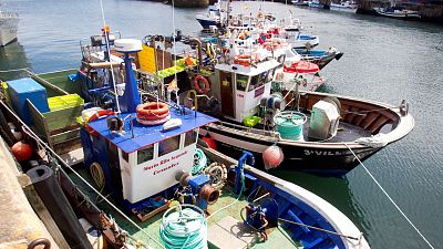 El Gobierno aprueba el proyecto para reformar la Ley de Pesca marítima