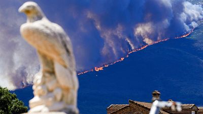 El Gobierno declara la emergencia de interés nacional por los incendios de la Comunidad de Madrid y de Ávila