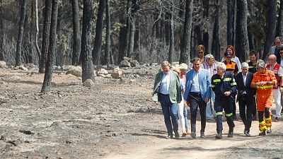 El Gobierno declarará este martes como zona catastrófica los territorios afectados por grandes incendios