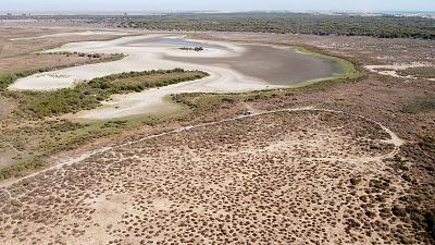 El Gobierno recurrirá al Constitucional la ley de regadío andaluza si se aprueba y avisa: "Doñana no se toca"