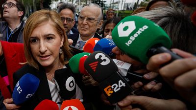 La exconsellera Salomé Pradas llega a los juzgados de València entre gritos y abucheos La exconsellera Salomé Pradas llega a los juzgados de València entre gritos y abucheos