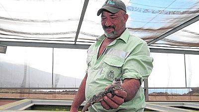 El legado de Juan Pedro Pérez Machín.