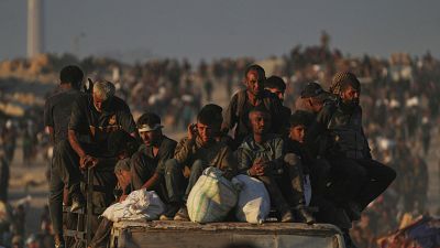 Palestinos cargan sacos de harina descargados de un convoy de ayuda humanitaria que llegó a la ciudad de Gaza.