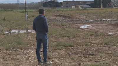 La pagesia alerta que el sector dels cereals està tocat de mort amb l'escalada de preus