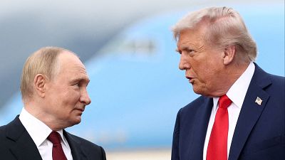 Putin habla con Trump y ofrece una tregua en Ucrania por el aniversario del fin de la Segunda Guerra Mundial
