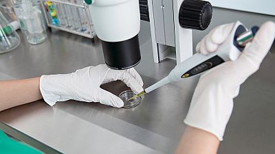 Hallan una proteína que mantiene dormidas las células metastásicas del cáncer de mama