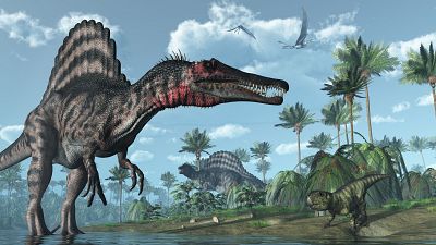 Hallan en Soria los restos del mayor dinosaurio carnívoro del Cretácico Inferior Ibérico