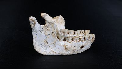 Un hallazgo en Marruecos ofrece nuevas pistas sobre el último antepasado común entre humanos y neandertales