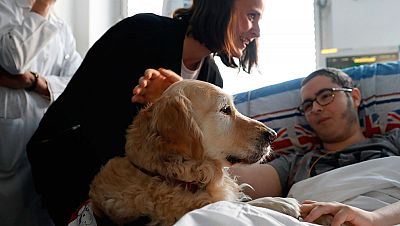 El Hospital 12 de Octubre lanza una terapia pionera con perros para reducir el dolor de los niños en la UCI