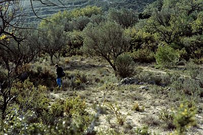 Los huesos encontrados en la fosa del crimen de Alcàsser corresponden a una de las niñas asesinadas