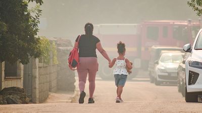Imágenes de los incendios en Madrid y Ávila: de la lucha contra el fuego a los miles de evacuados