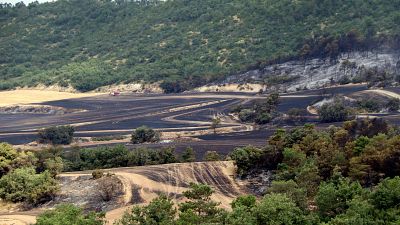 Camps cremats pel foc de Sant Pere Sallavinera | ACN
