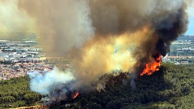 Flames cremant un bosc prop de Gavà i Viladecans