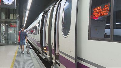 Hombre con perro en andén de estación. Tren AVE blanco con franjas moradas y grises detenido. Pantalla: "AVE 3102", "Barcelona Sants", "Camp Tarragona >>", "Madrid Atocha". Andén con franja táctil amarilla. Reloj: 12:05.