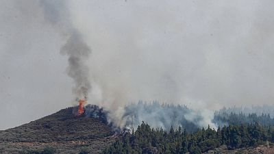 Un incendio activo en Gran Canaria obliga a desalojar a 240 personas de la localidad de Cuevas Blancas