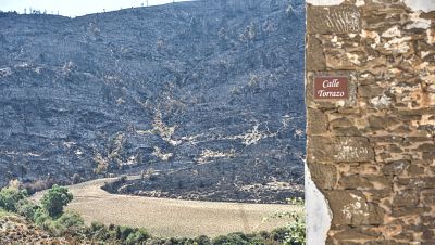 Vista de zonas calcinadas por el incendio en Peñas de Riglos, Huesca