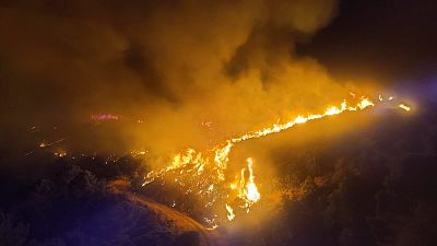 Los 2.000 desalojados por el incendio de Sierra Bermeja vuelven a sus casas tras arder 2.100 hectáreas
