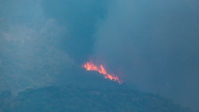 El incendio de Sierra Bermeja, en Málaga, sigue sin control y ya ha quemado más de 7.700 hectáreas