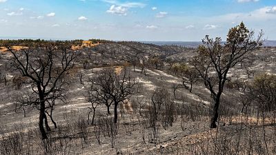 El incendio de Niebla (Huelva) queda estabilizado y todos los evacuados volverán a sus hogares