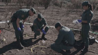 Incendios en 2025, los peores de este siglo: España sufrió las peores olas de fuegos forestales desde 1995