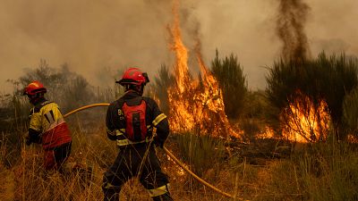 Los incendios avanzan sin control en Ourense y Castilla y León y dejan cuatro efectivos de la UME heridos