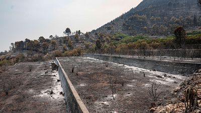 Más de 180.000 personas siguen evacuadas o confinadas por incendios que dejan ya 90.000 hectáreas afectadas - Telediario 2 | Ver Más de 180.000 personas siguen evacuadas o confinadas por incendios que dejan ya 90.000 hectáreas afectadas - Telediario 2 | Ver