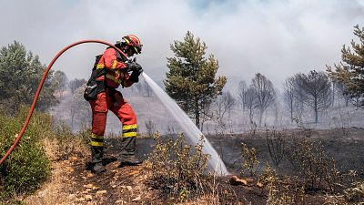 Preocupan los incendios de La Mierla y Selas en Guadalajara