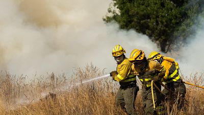 Los incendios en España hasta agosto superan toda la superficie forestal quemada en 2024