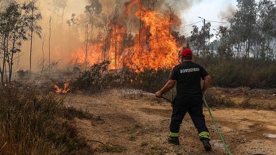 Suben a tres los fallecidos en los incendios forestales en Portugal