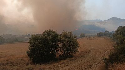 El incendio en la comarca de las Cinco Villas en Zaragoza quema 14.000 hectáreas y es ya el mayor del año en España